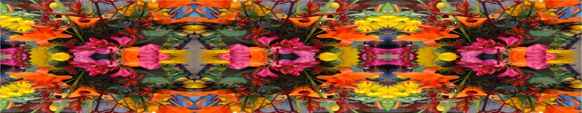 14. Exotic Flowers - Los Gatos California