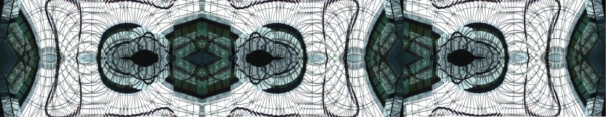 7. Shopping Mall Atrium Skylight - Vevey Switzerland